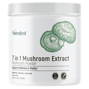 Mushroom Extract Powder